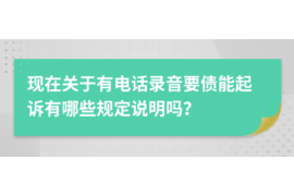 湘西为什么选择专业追讨公司来处理您的债务纠纷？